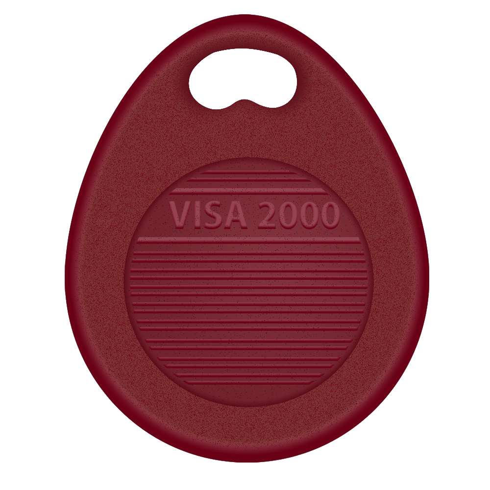 ✅  Visa 2000